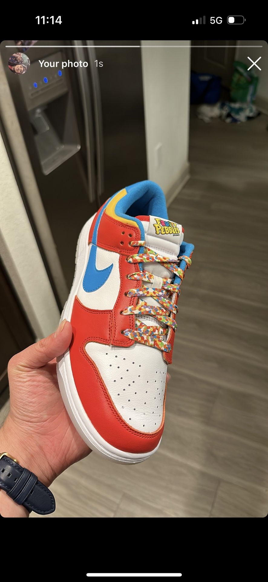 Fruity Pebbles Lebron Nike Dunks