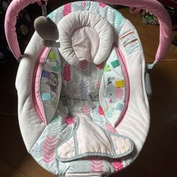 Baby Bouncer