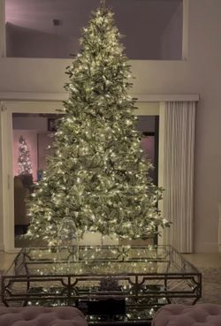 King of Christmas Tree