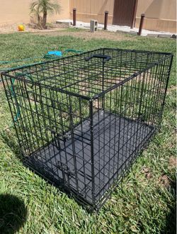 Dog Cage