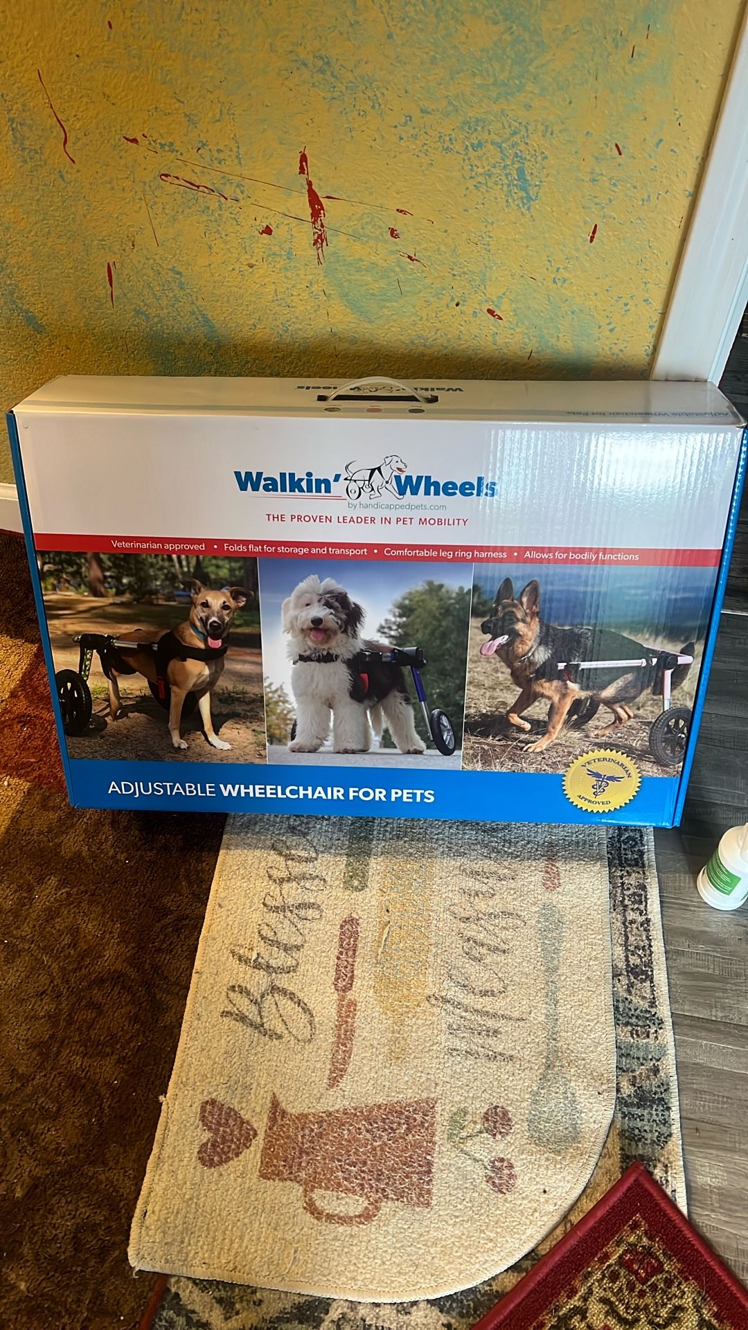Walking Wheels For Medium To Large Dog $200 Or B.O :) 