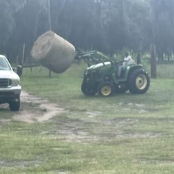 Hay