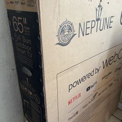 65” Inch Full Sun Outdoor TV