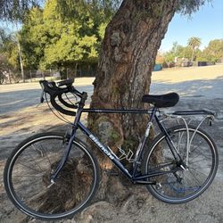 58 Cm Adult Size Bianchi Road Bike