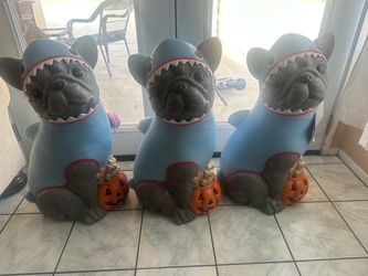 Gray Frenchie in Shark Costume Halloween Dog Blow Mold