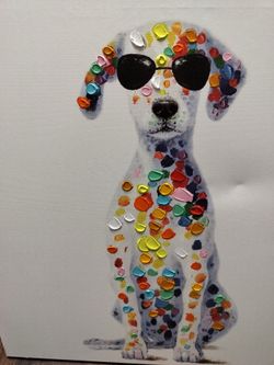 Pet picture