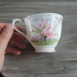 Royal Albert Cup Blossom Time