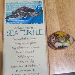 Hanging Turtle Sign, Paper Weight Shell