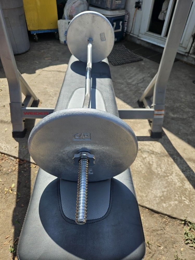 Chrome Standard 1 inch curl bar with spin lock collars and 2 X 25 lb plates.