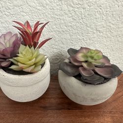 small artificial  plants 2 both $9