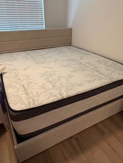 Bamboo Pillow Top Mattress with Box Spring