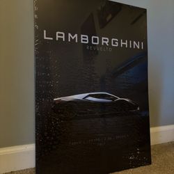 UNOPENED Lamborghini Revuelto Stainless Steel Wall Poster (Displate)