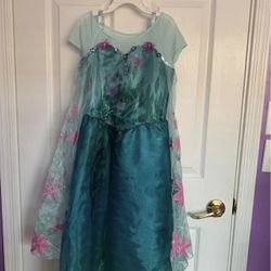Elsa Frozen Fever Dress
