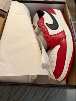 9.5 DS Chicago 1 low