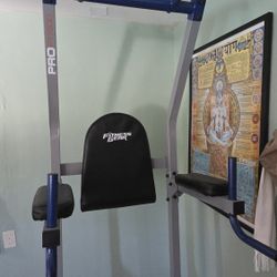 Fitness Gear Pro Power Tower