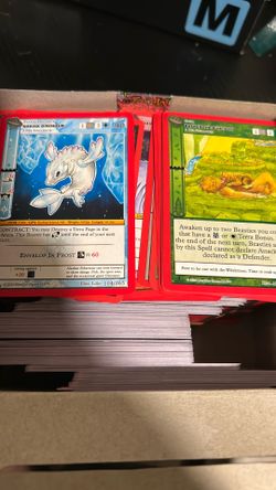 Metazoo Cards