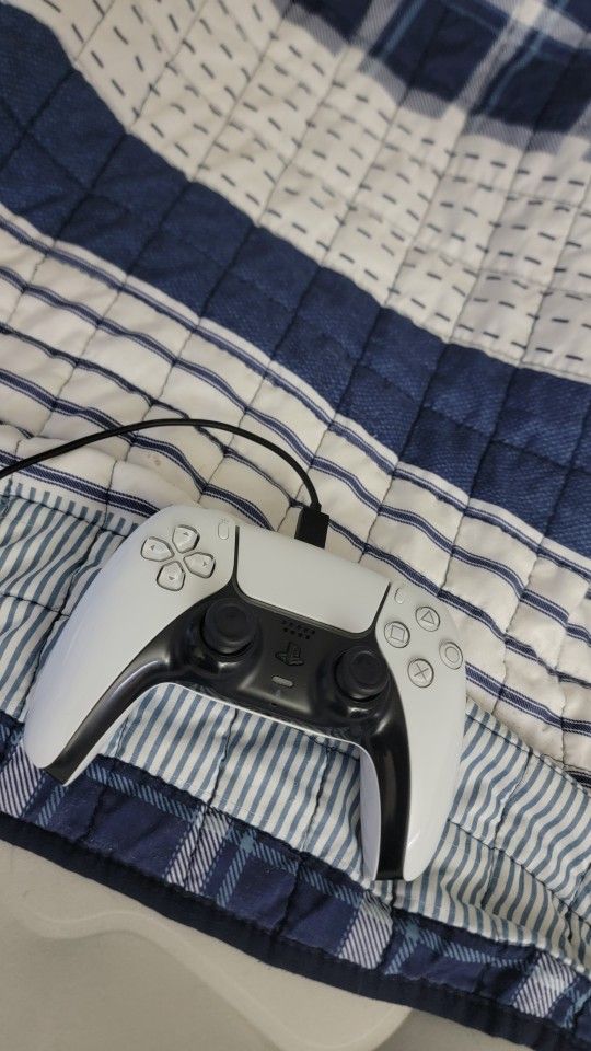 PS5 Controller