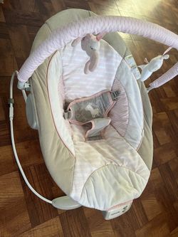 Baby Bouncer
