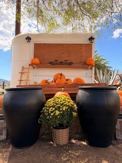 Set of 2 Tall Jar Pot Planters