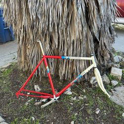 Specialized stumpjumper Frame 1988