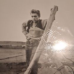 James Dean Actual Photograph 
