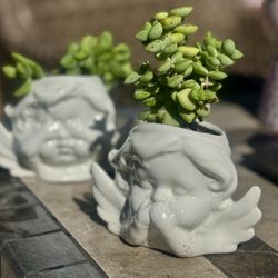 🤍 👼 White Angel 👼 🤍 Two Ceramic Planters Set - w Succulents 🪴 🪴 