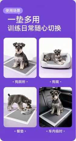 Pets Training Pads