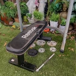 Aparato De Ejercicios Con Pesa De 100 Kilos De peso  De Acero Los Discos 