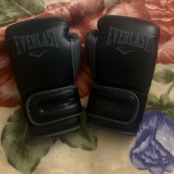 everlast power lock 16 oz gloves