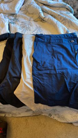Size 20 Lane Bryant Bermuda bundle of 4 Shorts Bundle of 4