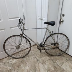 Vintage Schwinn