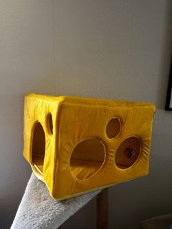 Cat house  cheese