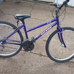 Raleigh Bicycle 26in