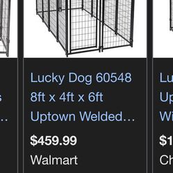 Lucky Dog, Outdoor Kennel