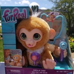 Furreal Check Up Zandi New