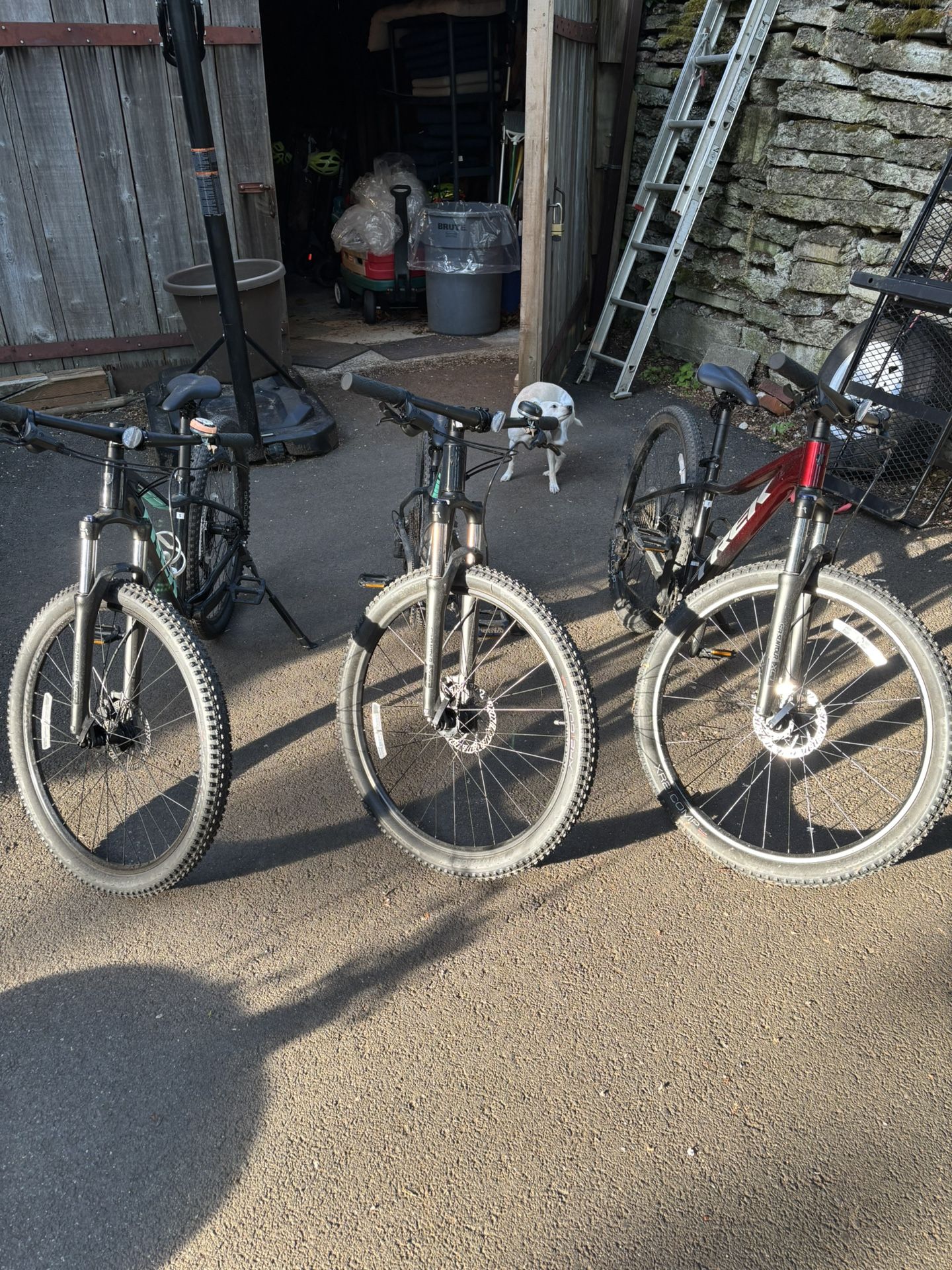(3) Brand New TREK Marlin 6 Mountain Bikes