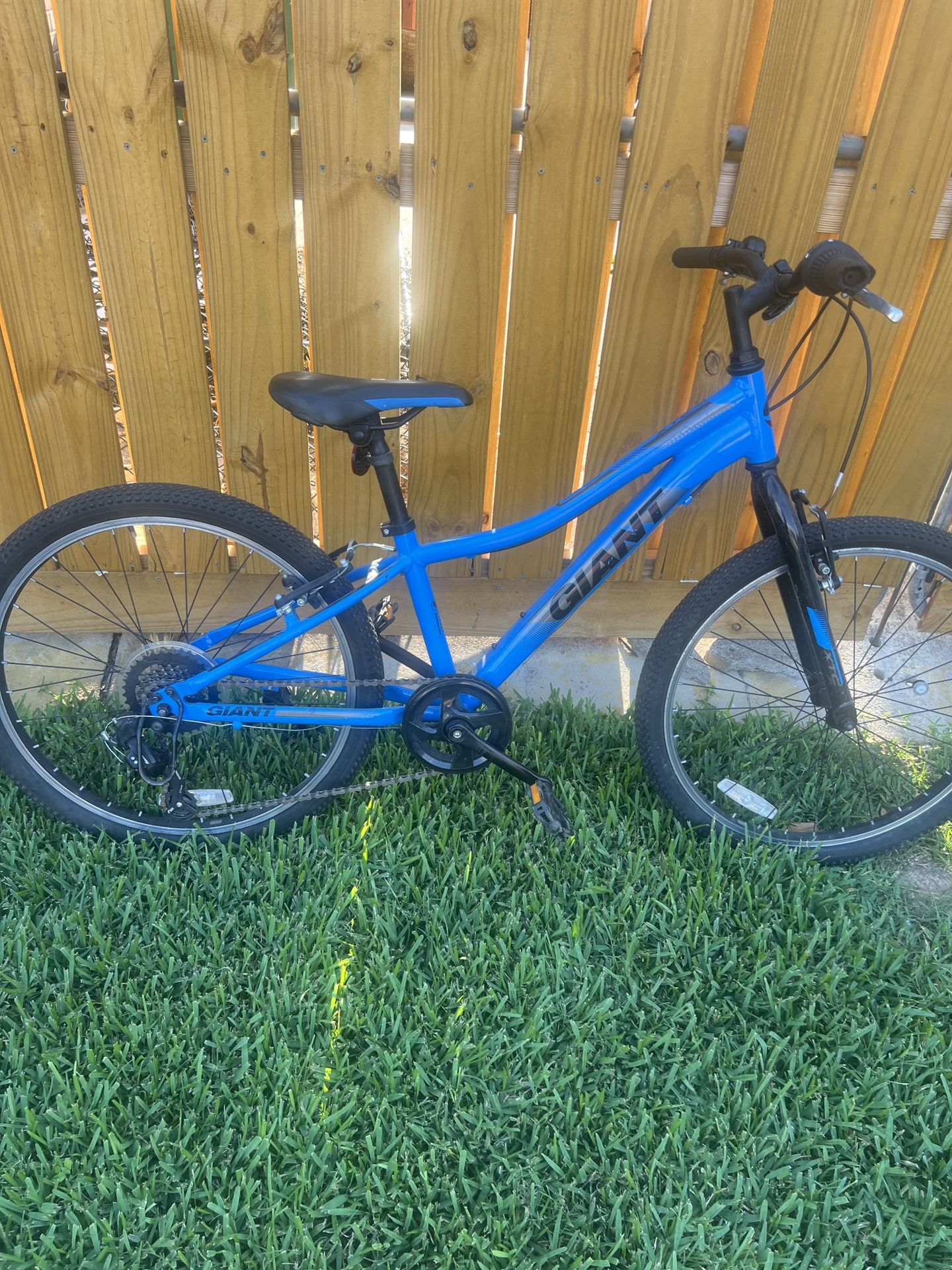 Giant Bike Kids/youth Size