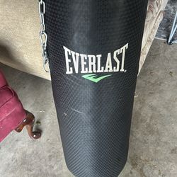 Everlast punching bag