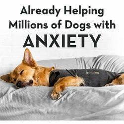 Thunder Shirt The Better Solution For Dog Anxiety