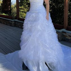 Wedding Dress Size 12