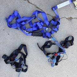 Harness