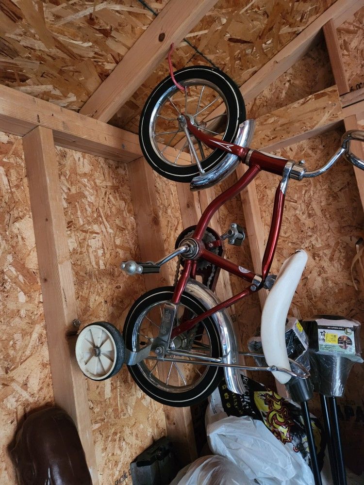 Schwinn Tiger