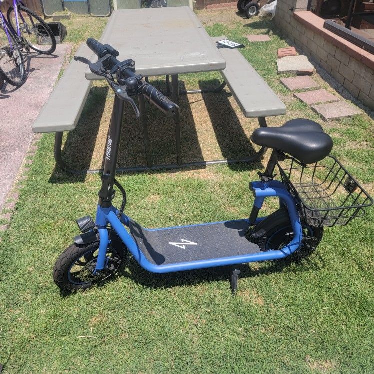 Electric Scooter 