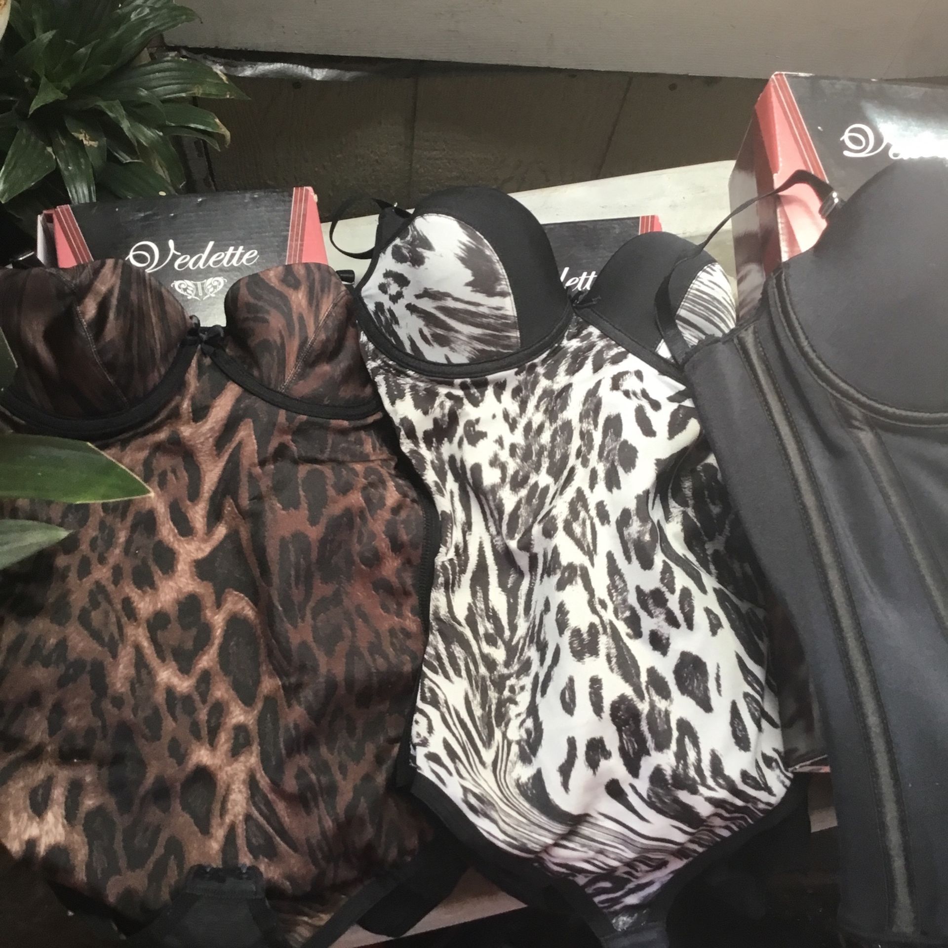 Vedette. Sparta. $65 Each