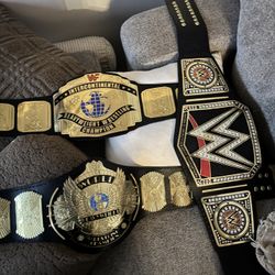Wwe Adult Size Championships (READ DESCRIPTION)