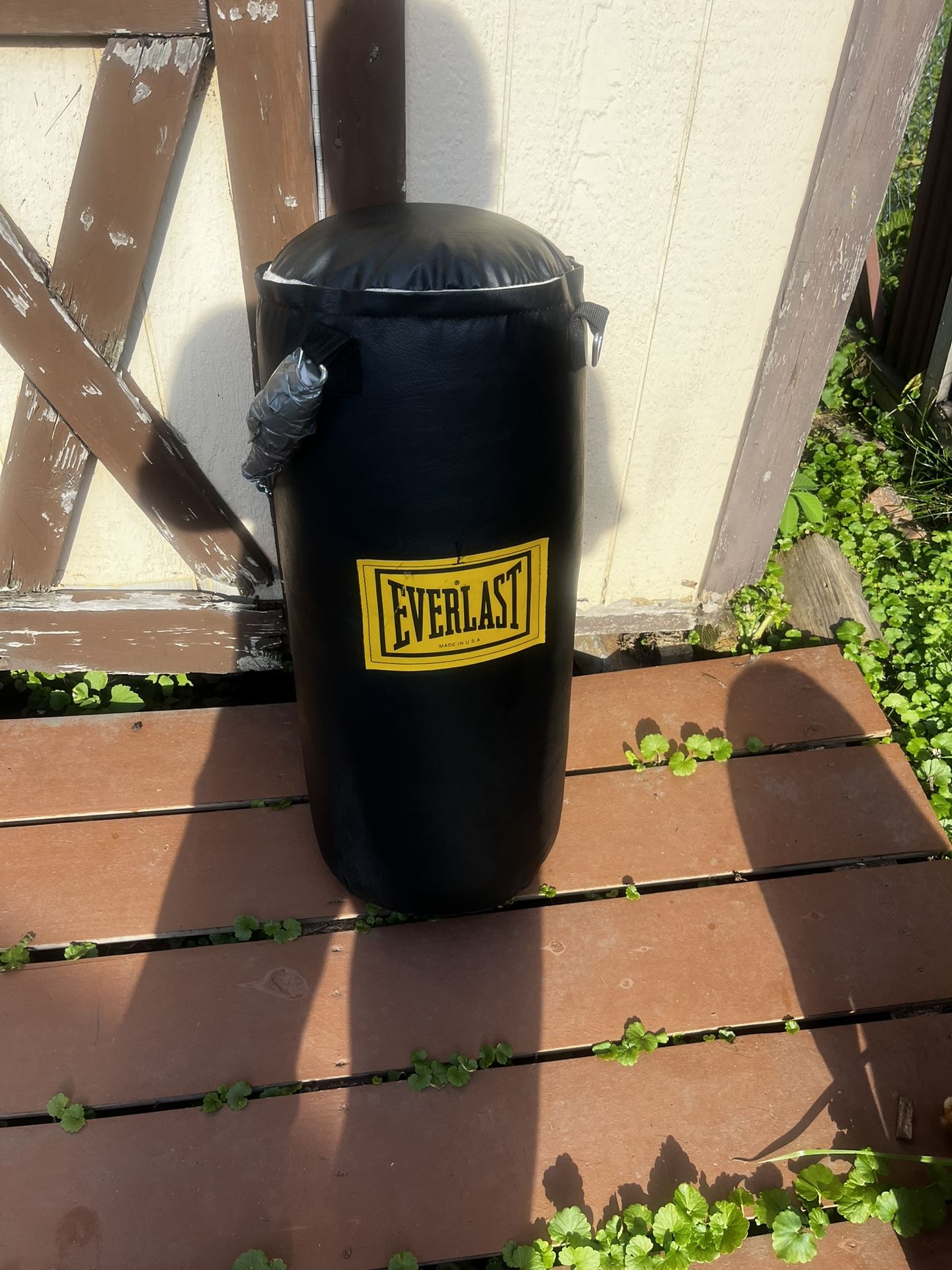 Everlast Hanging Punching Bag