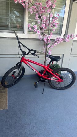 Next 20” Boys Wipeout Bmx Bike