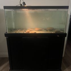 Fish Tank With Stand