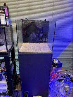 Water box fish tank