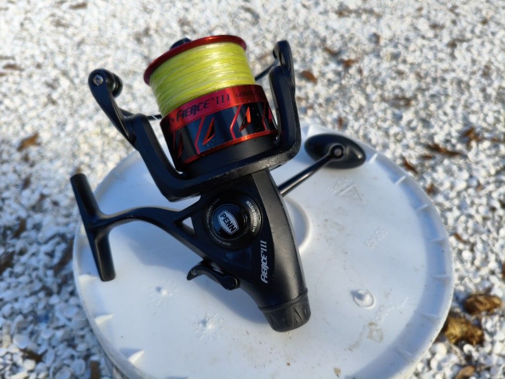 Penn Fierce 3 Live Liner 6000